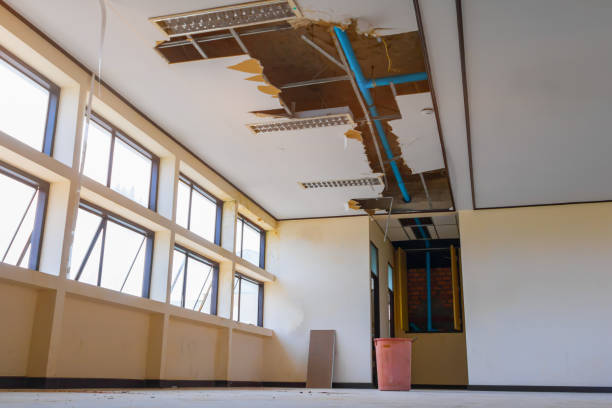 Best Water damage restoration experts  in Angels, CA