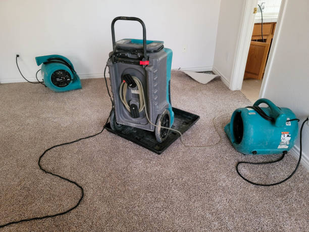 Best Flooded house restoration  in Angels, CA