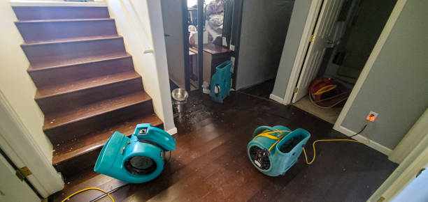 Best Water damage restoration near me  in Angels, CA