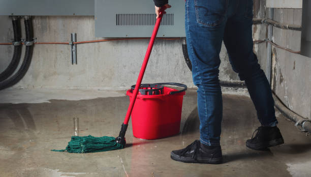  Angels, CA Water damage restoration Pros