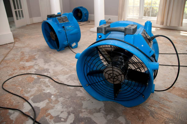 Best Residential water damage restoration  in Angels, CA