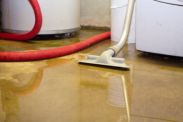 Best Water damage restoration near me  in Angels, CA