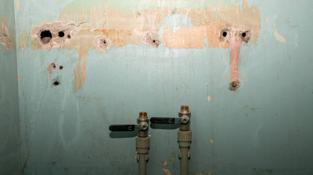 Best Water damage restoration company  in Angels, CA
