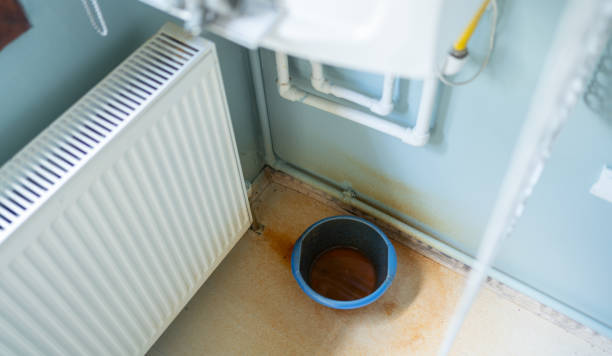 Best Ceiling water damage repair  in Angels, CA