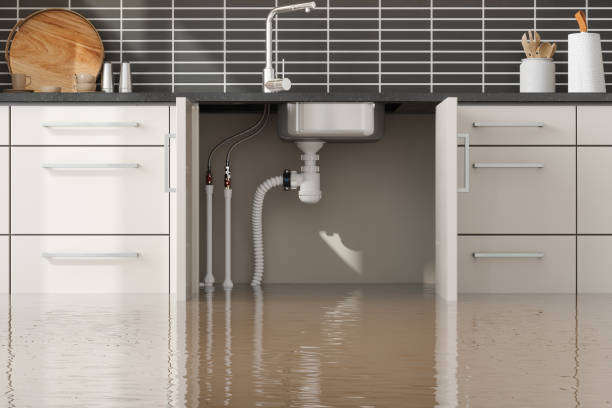 Best Commercial water damage restoration  in Angels, CA